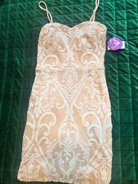Windsor Nude Mini Dress with White Beaded Lace